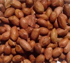 Organic Oil Seeds Manufacturer Supplier Wholesale Exporter Importer Buyer Trader Retailer in Gurgaon Haryana India